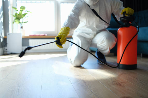 Reliable Odor Removal contractor in Weimar, TX by Trauma Clean Pros